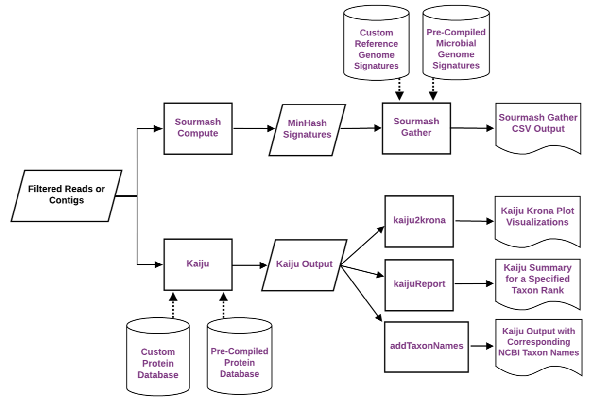 Taxonomic classification